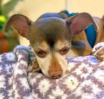 Photo of Daisy Mae