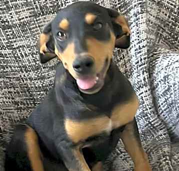 Photo of Rocket