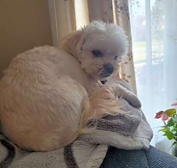 Photo of Ruffles