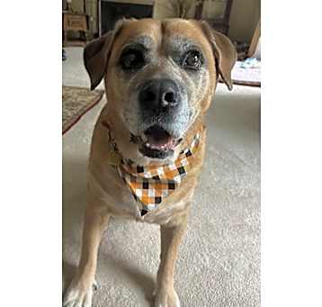 Photo of Titus