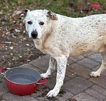 Photo of Max