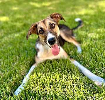 Photo of Oliver
