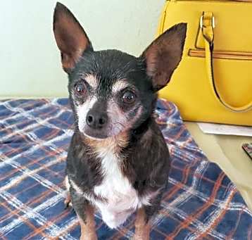 Photo of SHIRLEY