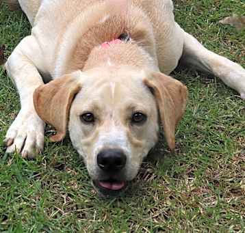 Photo of Nilla
