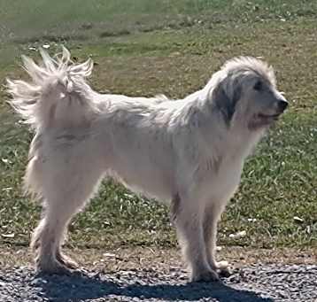 Photo of Maxine