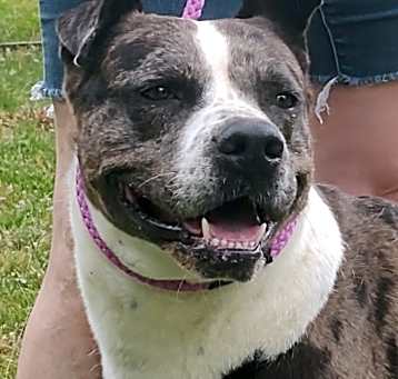 Photo of Champ