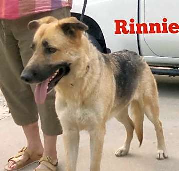 Photo of Rinie ( Rinnie)