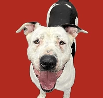 Photo of Rudy