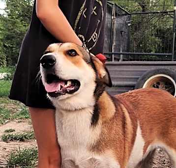 Photo of Maggie