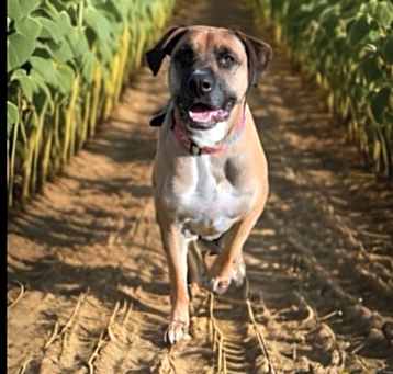 Photo of Lily