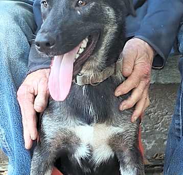 Photo of Deja