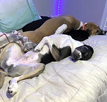 Photo of Bruce and freya