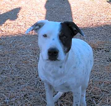 Photo of Raylee