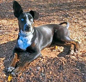 Photo of Ramona