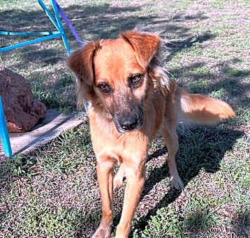 Photo of Bentley