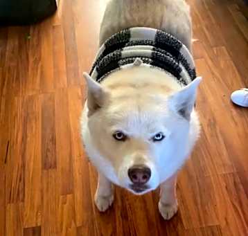 Photo of Maya