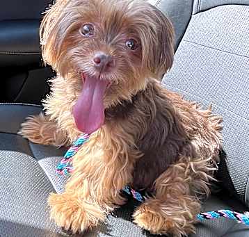 Photo of Twinky