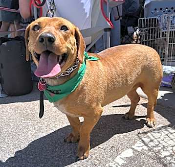 Photo of Ella