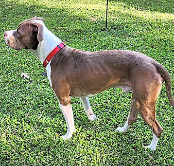 Photo of Gus