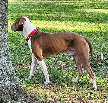 Photo of Gus
