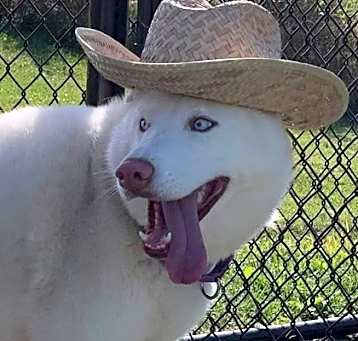 Photo of Star goes home with Blue