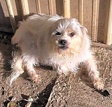 Photo of Lyle
