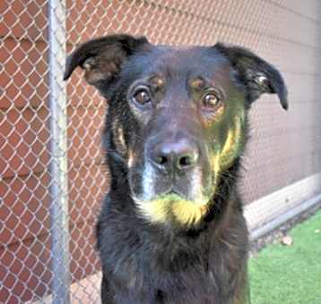 Photo of Duke