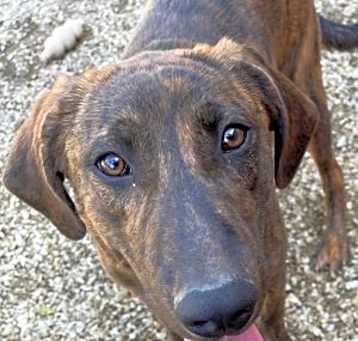 Photo of Ralphie