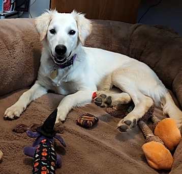 Photo of Maggie