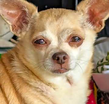 Photo of Little One