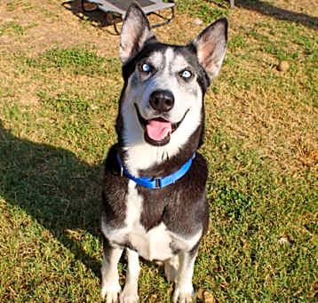 Photo of Walter White (in foster)