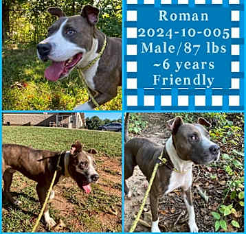 Photo of 2024-10-005 *Roman*