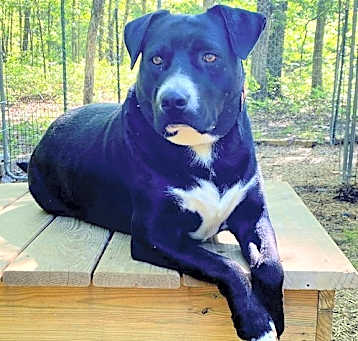Photo of HUNTER