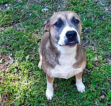Photo of Meeka