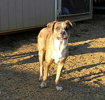 Photo of Sherman