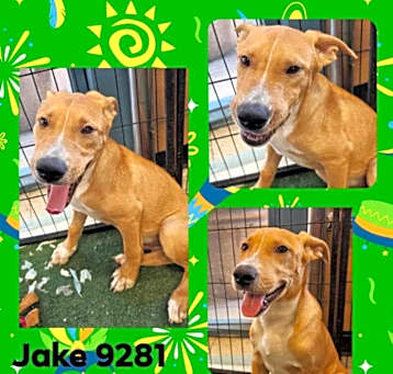 Photo of Jake