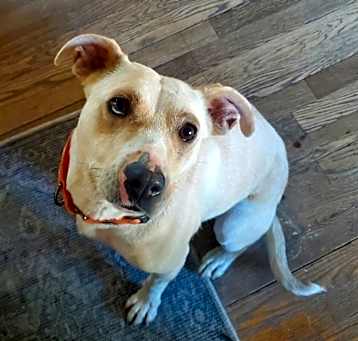 Photo of Nalah