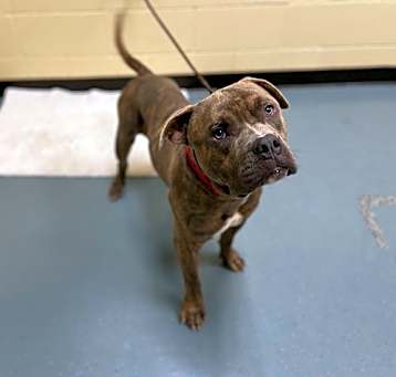 Photo of A408576