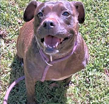 Photo of Skye