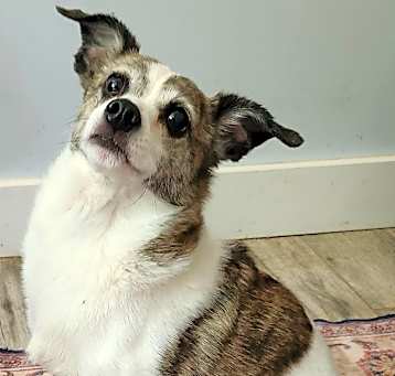 Photo of Shannon