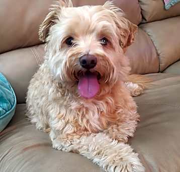 Photo of Willie