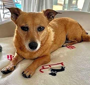 Photo of Maggie  -  So Ca