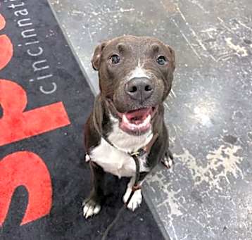 Photo of Thor