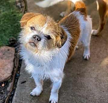 Photo of Mooshu