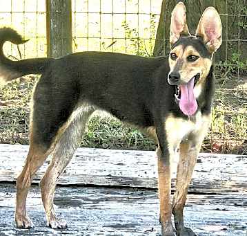 Photo of Kinsey