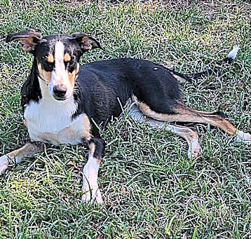 Photo of Nadia