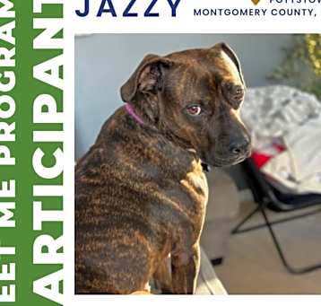 Photo of Jazzy