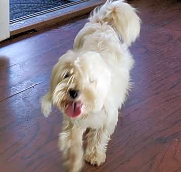 Photo of SCOTTY