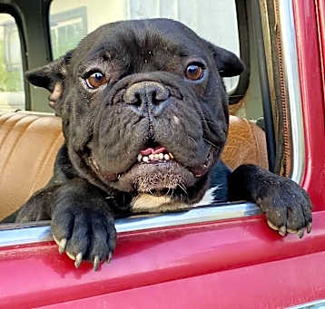 Photo of Timmy