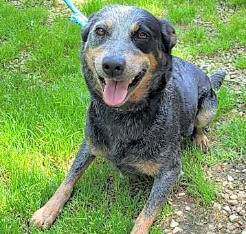 Photo of DIXIE